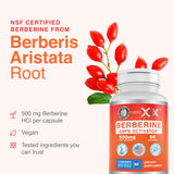 Genex Formulas Berberine capsules in a hand