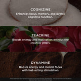 Genius Brand Genius Gamer supplement in a gaming setup