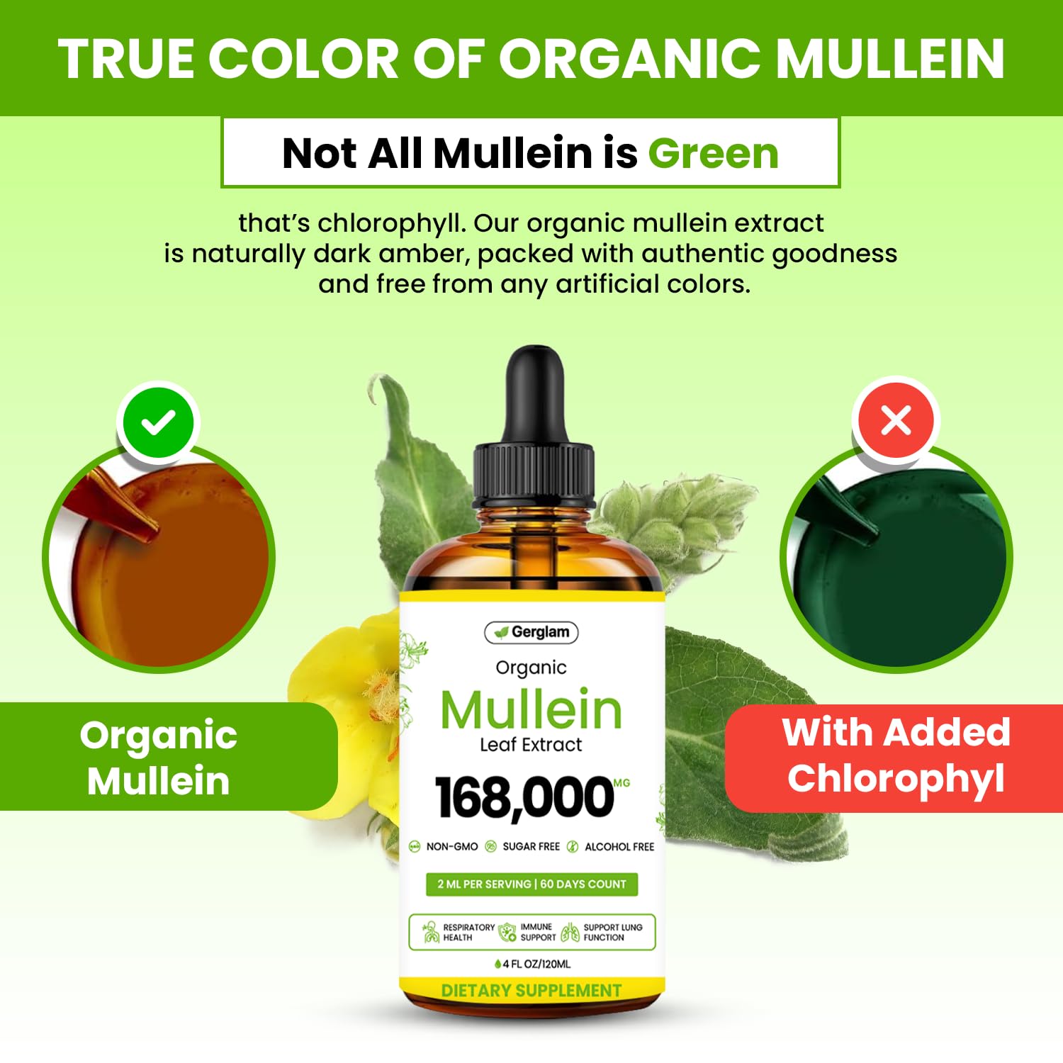 gerglam Mullein Leaf Extract Drops dropper close-up