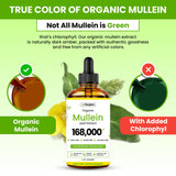 gerglam Mullein Leaf Extract Drops dropper close-up