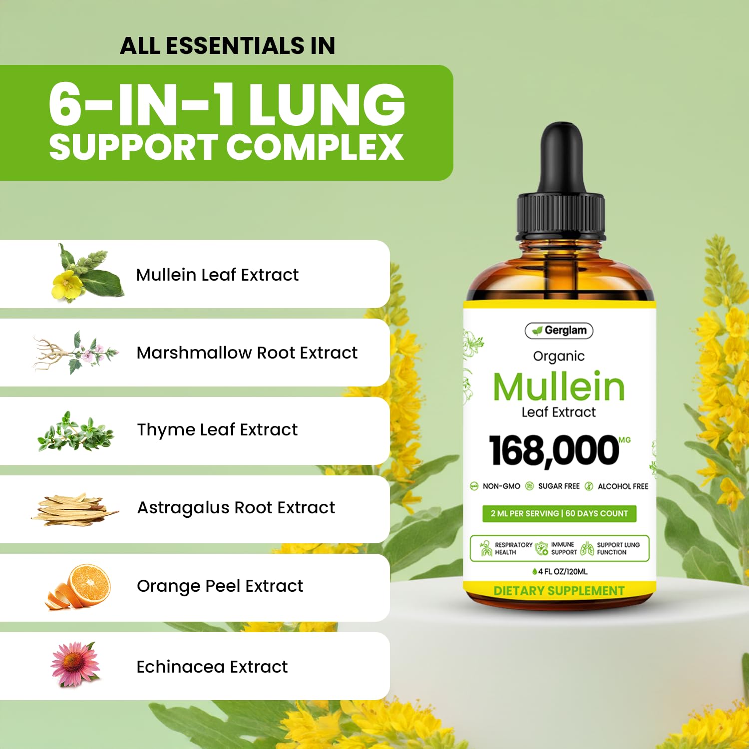 gerglam Mullein Leaf Extract Drops in a lifestyle setting