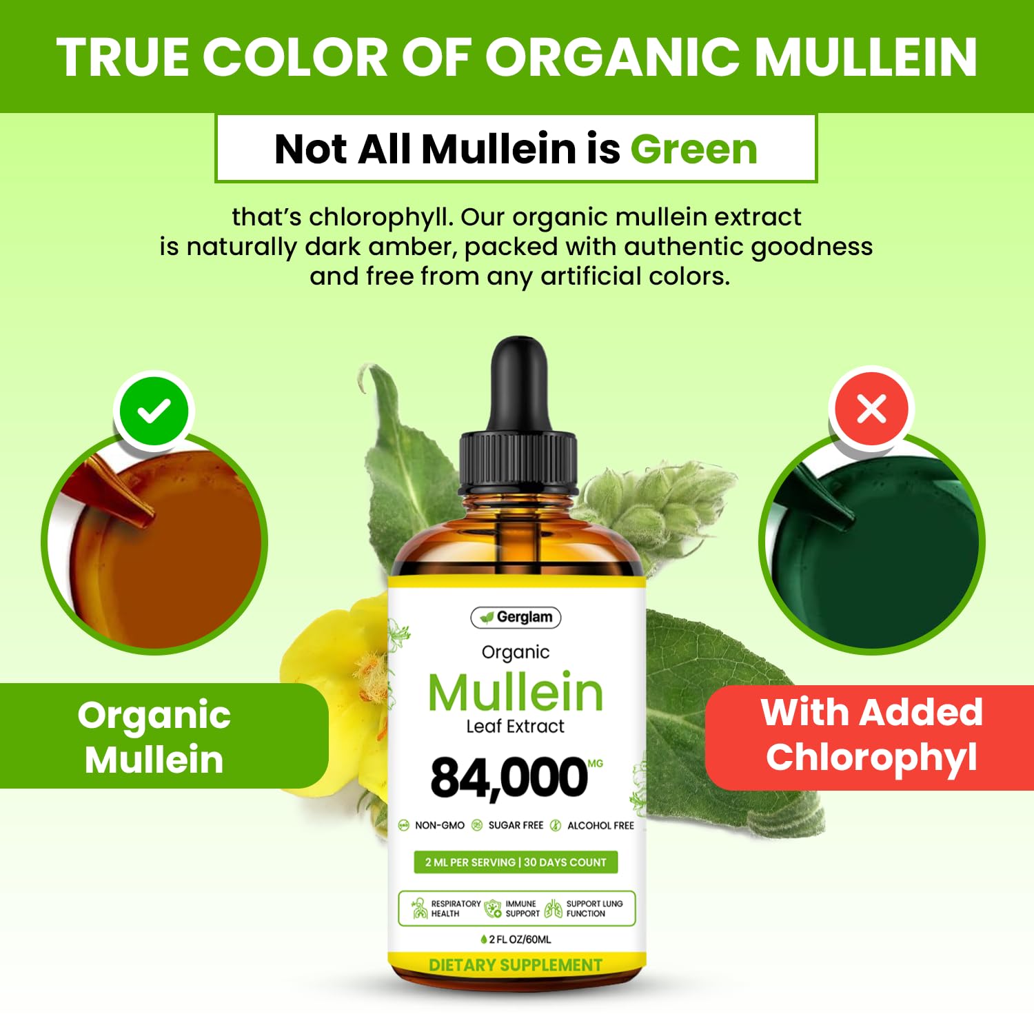 gerglam Mullein Leaf Extract Drops in a lifestyle setting
