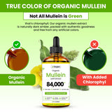 gerglam Mullein Leaf Extract Drops in a lifestyle setting