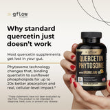 gflow vitamins Quercetin Phytosome with Bromelain 50g packaging
