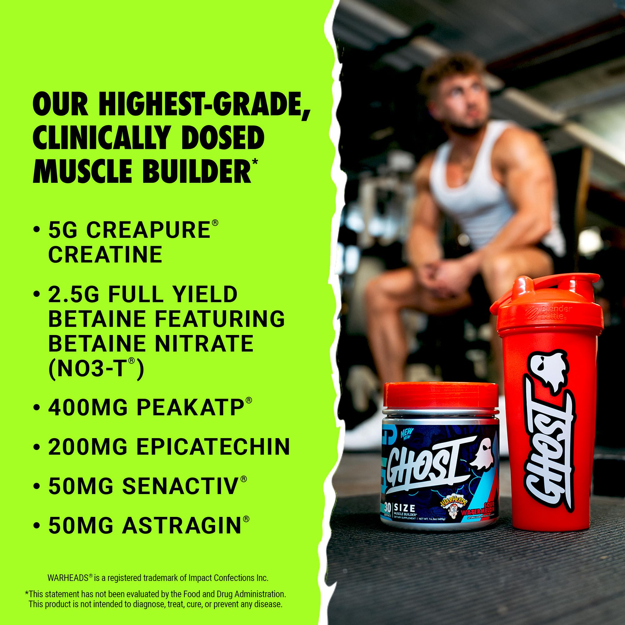 GHOST Size Creatine tub back view highlighting ingredient list