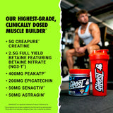 GHOST Size Creatine tub back view highlighting ingredient list