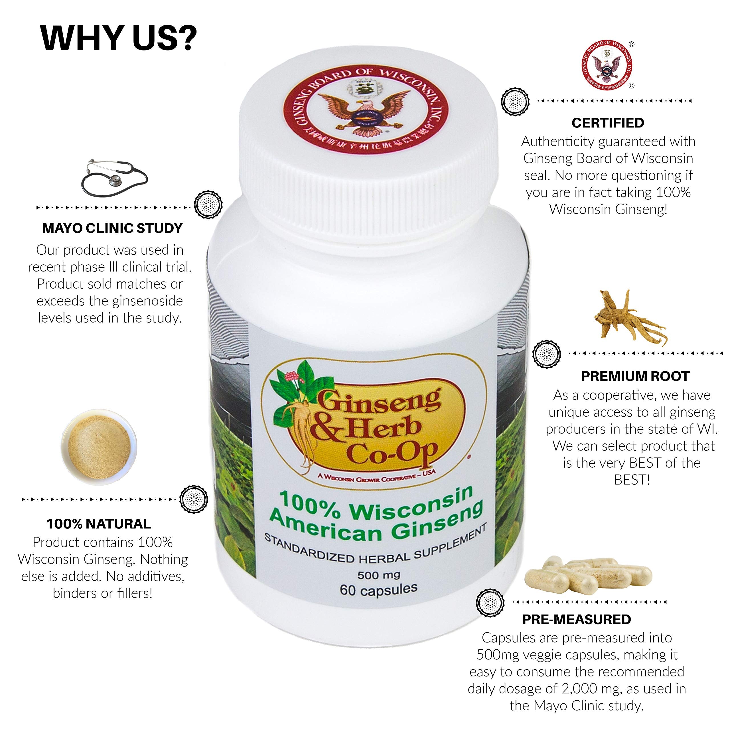 GINSENG & HERB CO-OP Ginseng Supplement 60g back view