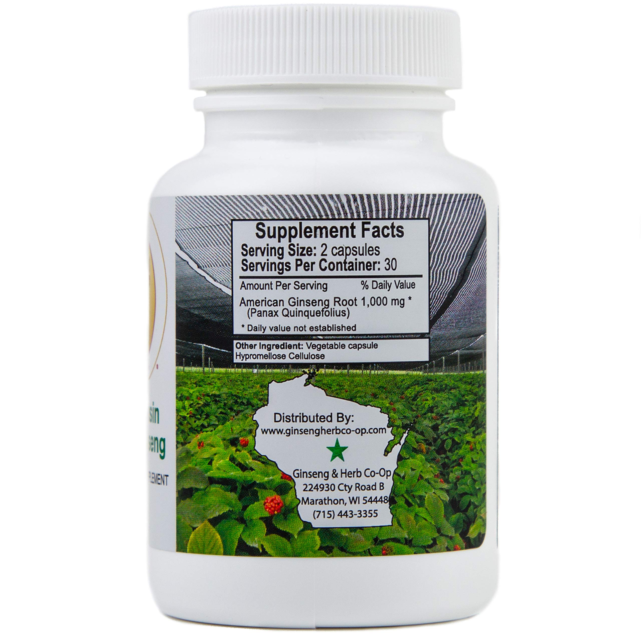 GINSENG & HERB CO-OP Ginseng Supplement 60g close-up