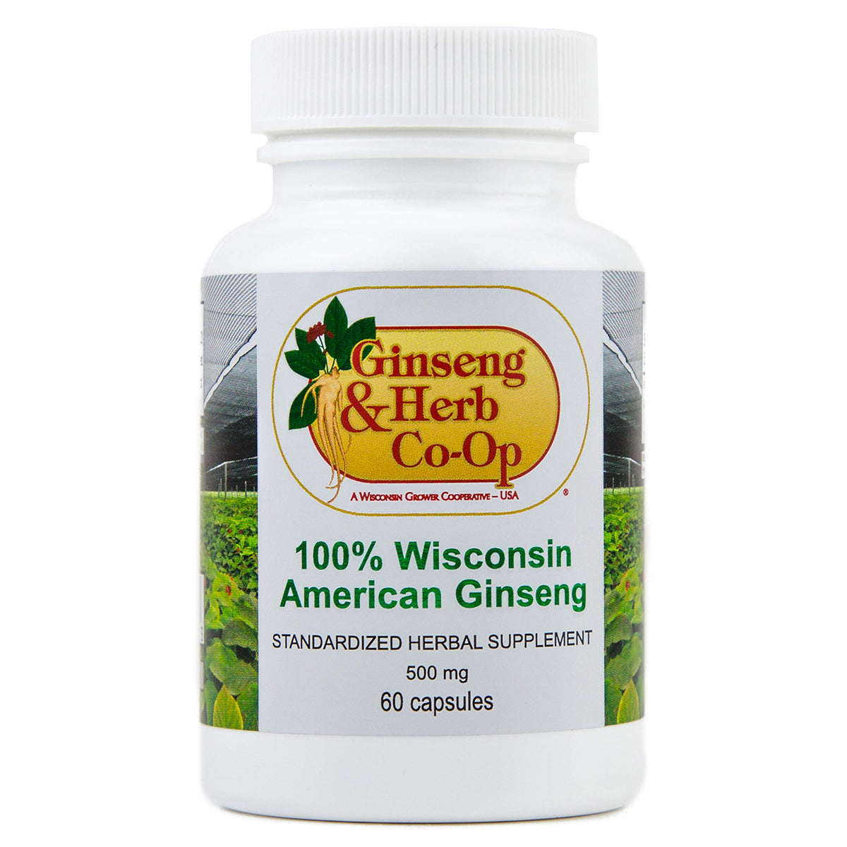 GINSENG & HERB CO-OP Ginseng Supplement 60g front view