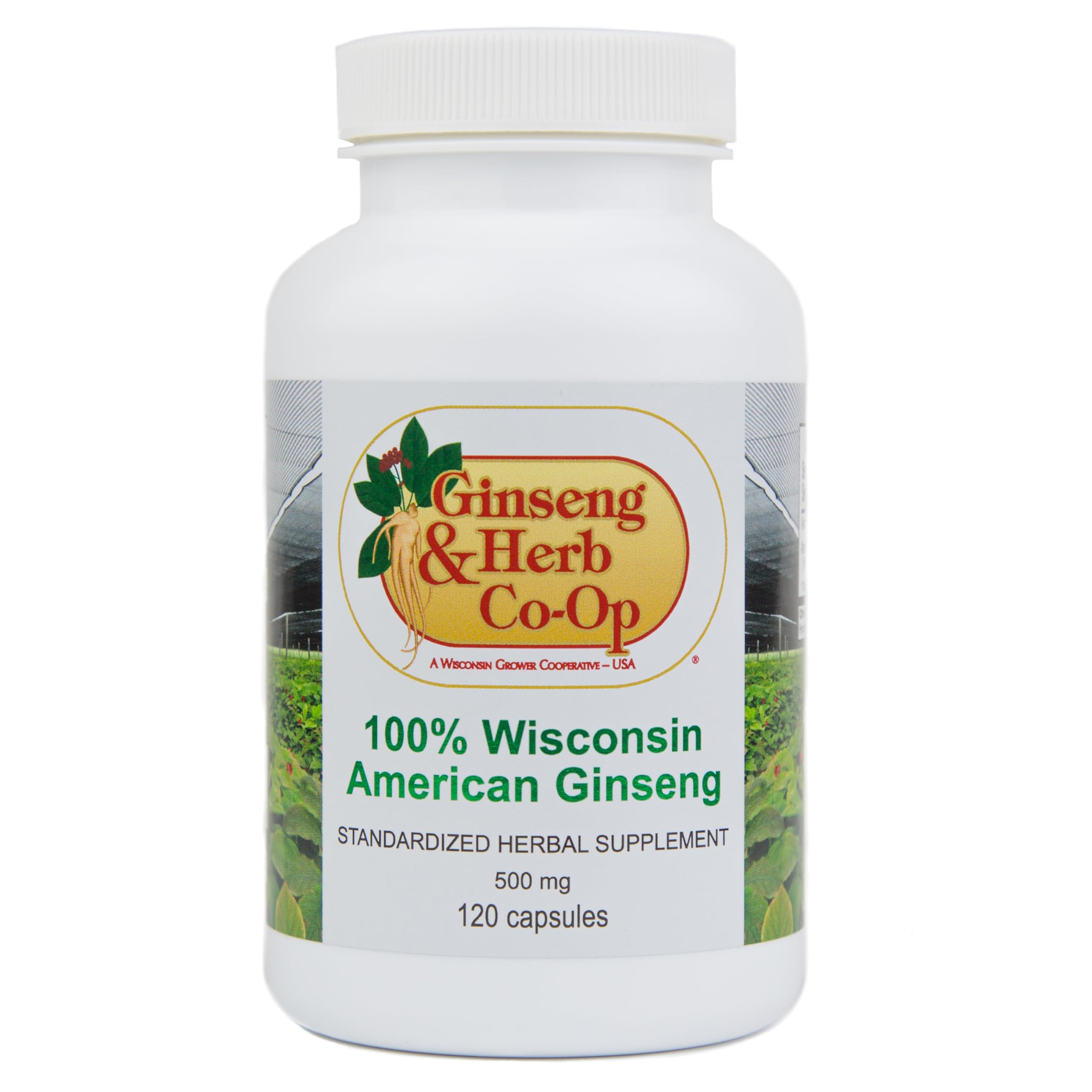 GINSENG & HERB CO-OP Ginseng Supplement on a wooden table