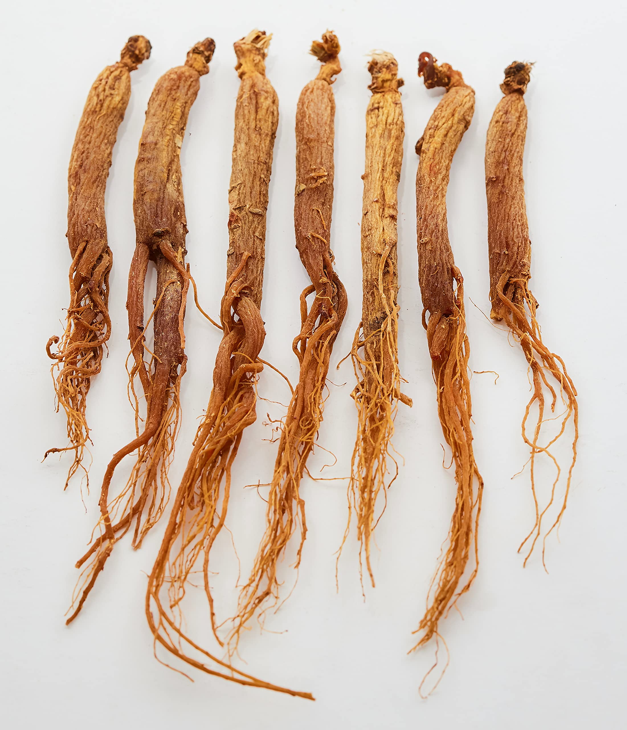 GinsengStoreAndMore Red Panax Ginseng packaging side view