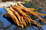 GinsengStoreAndMore Red Panax Ginseng roots in a bowl