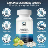 Gistany Garcinia Cambogia supplement bottle side view