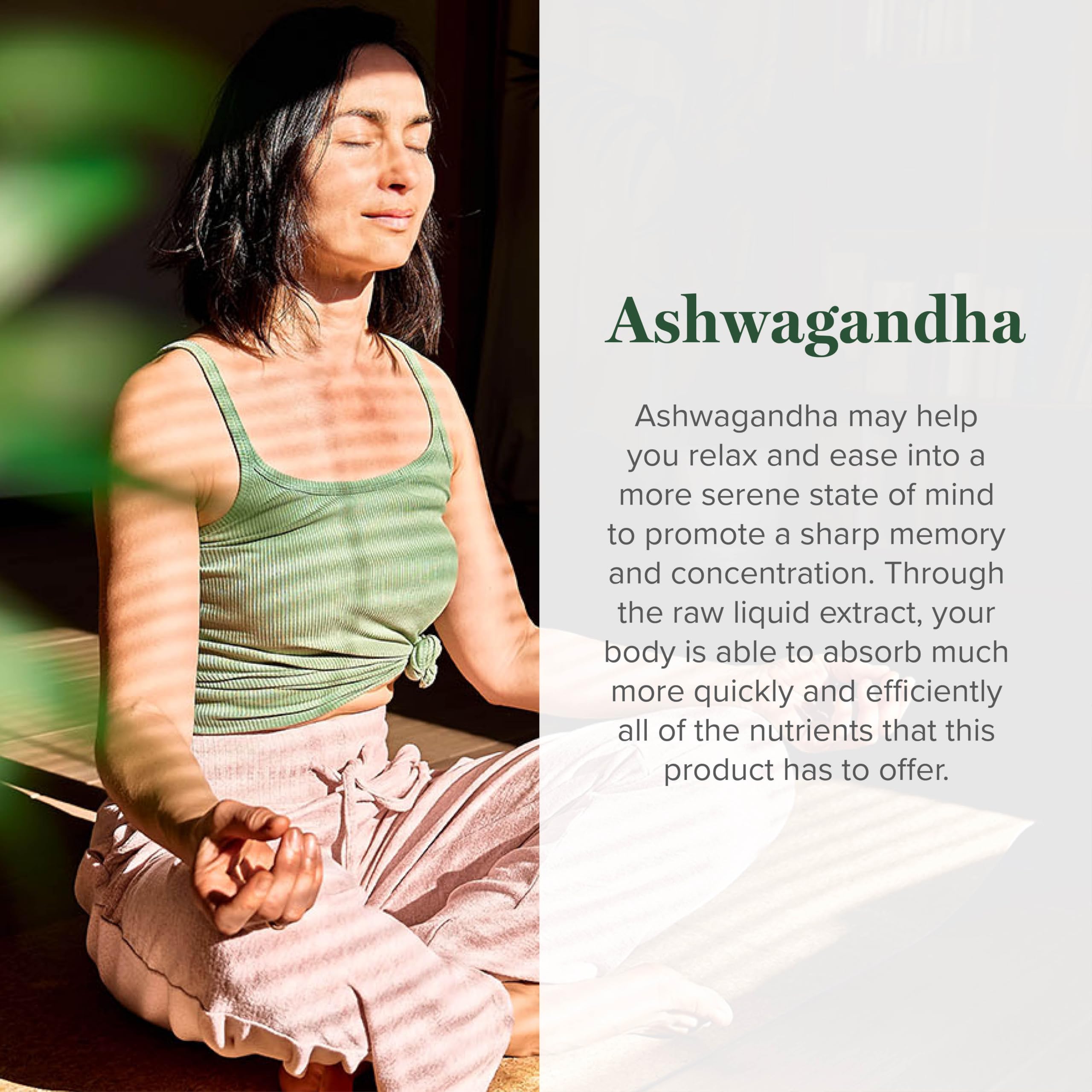 Global Healing Center Ashwagandha Drops bottle on a wooden table