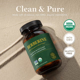 Global Healing Center Berberine 1200mg capsules with Ceylon cinnamon