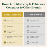 Global Healing Center Elderberry & Echinacea Liquid Tincture in lifestyle setting