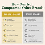 Global Healing Center Liquid Iron Supplement ingredients list