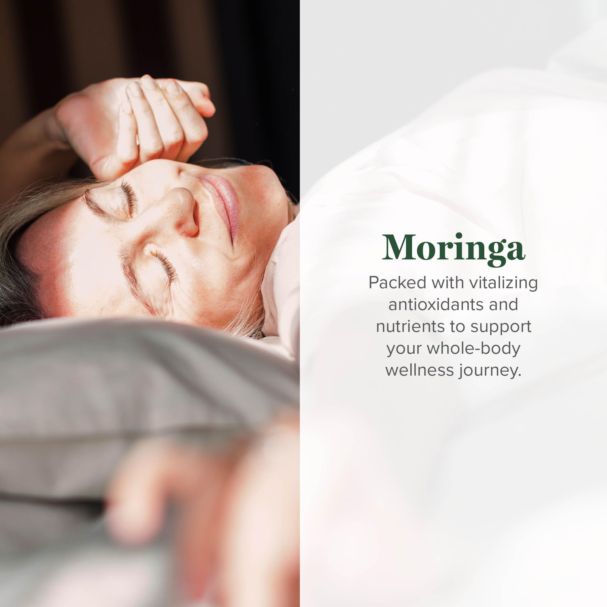 Global Healing Center Moringa Leaf Supplement ingredients list