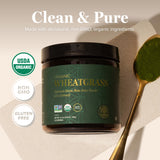 Global Healing Center Organic Wheatgrass Powder 179g scoop in powder