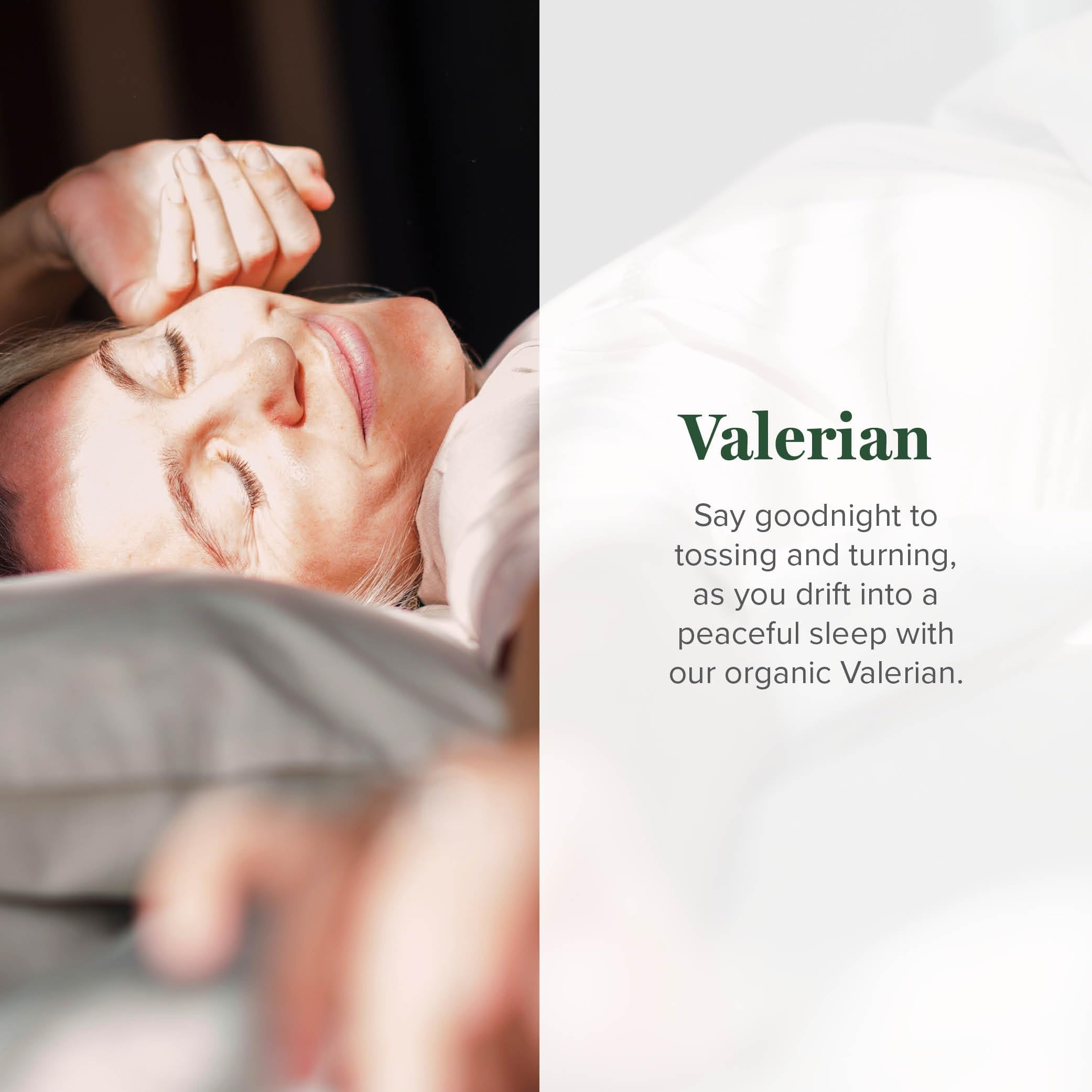Global Healing Center Valerian Root Capsules packaging