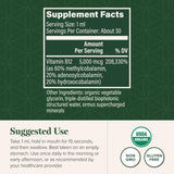 Global Healing Center Vitamin B12 Sublingual Liquid packaging