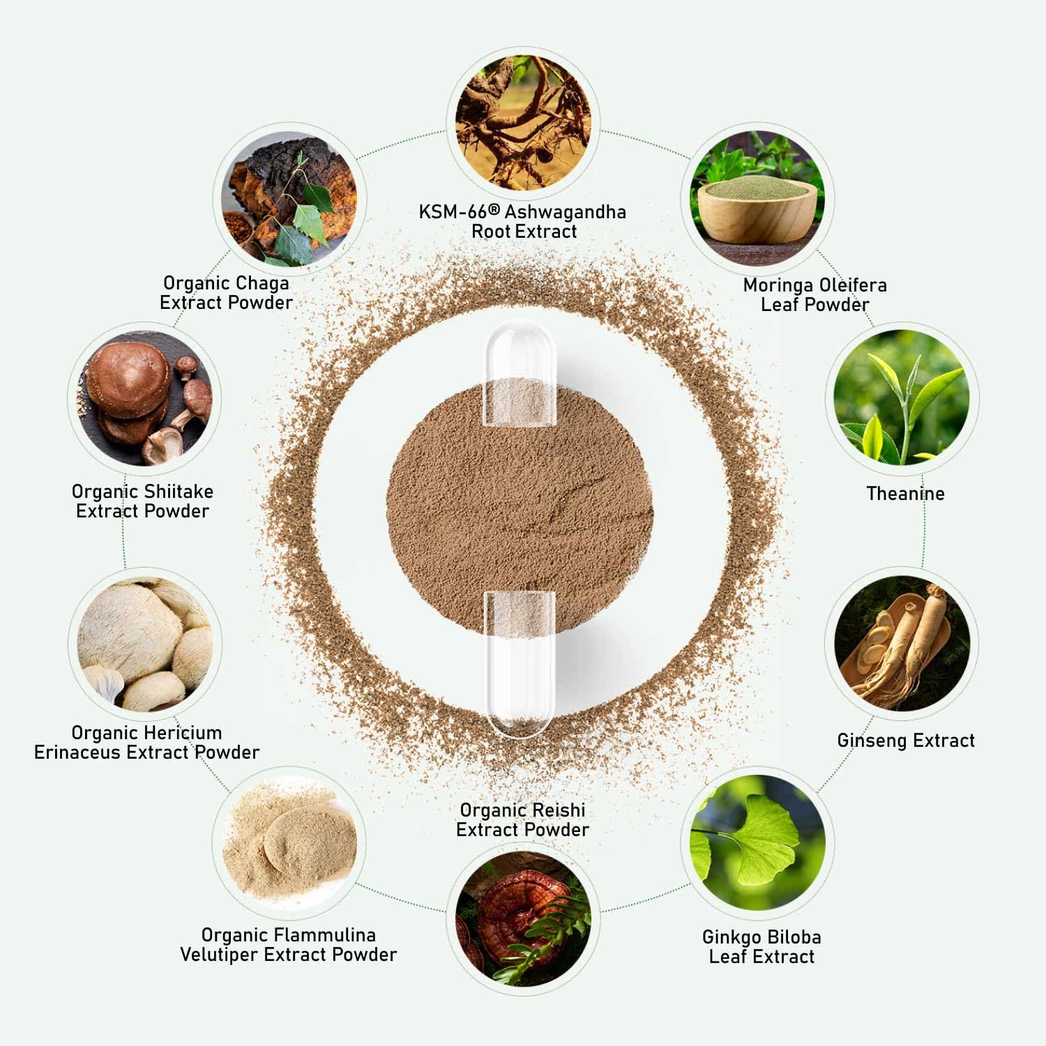 GlowEver Ashwagandha Supplement ingredients list