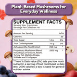 Glowfare Mushroom & Herb Blend Gummies ingredients list