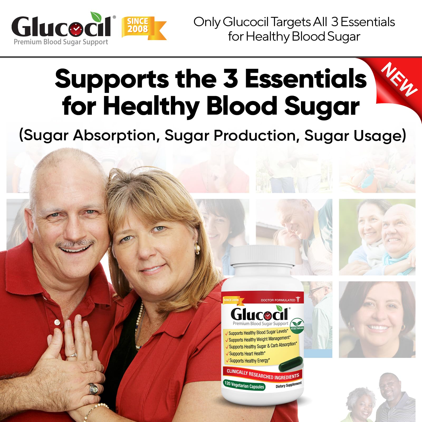 Glucocil Blood Sugar Support Supplement back view with ingredient list