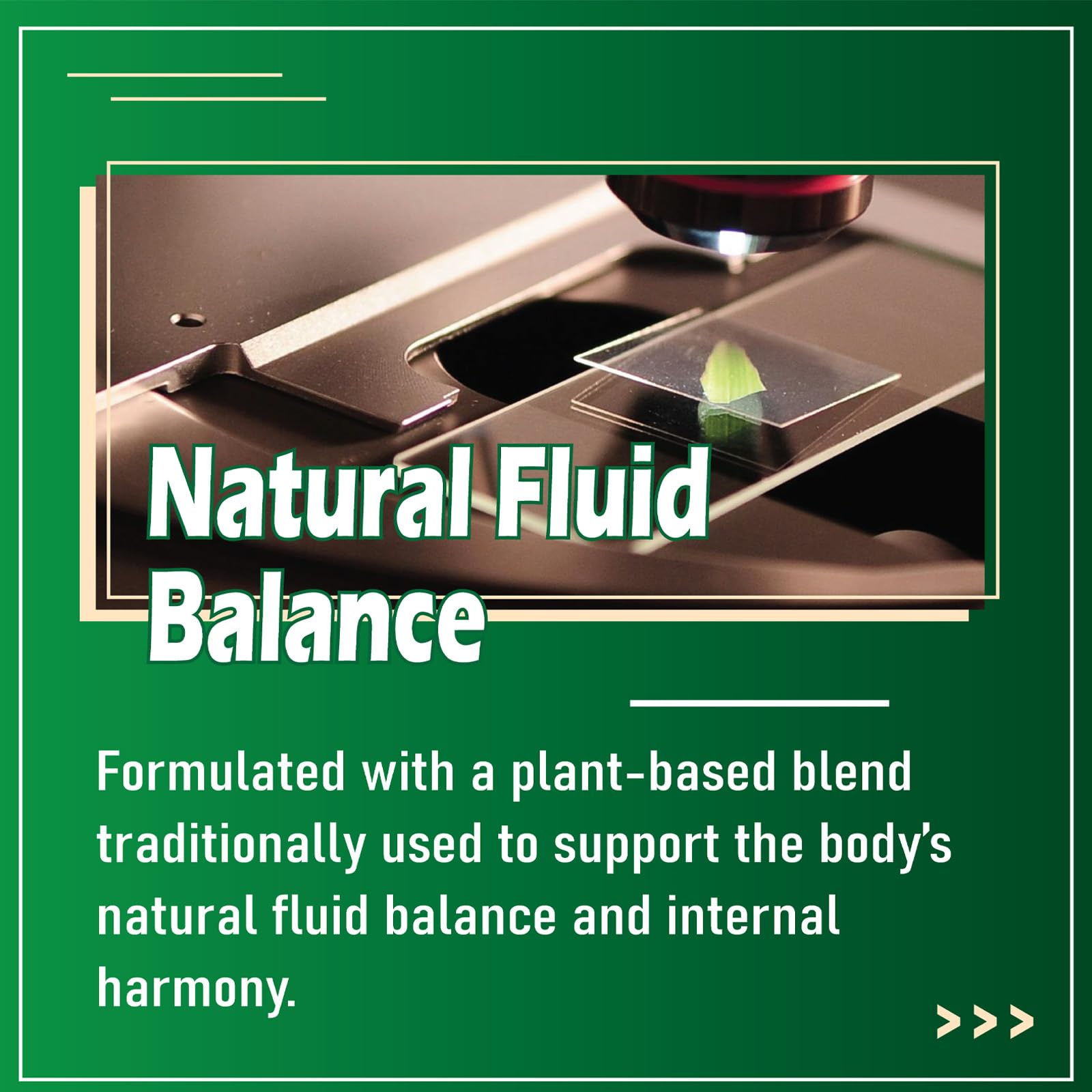 gmpdose Sleep Supplement Liquid Drops dropper close-up