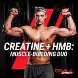 GMU SPORT Creatine Monohydrate watermelon flavour mixed in a glass