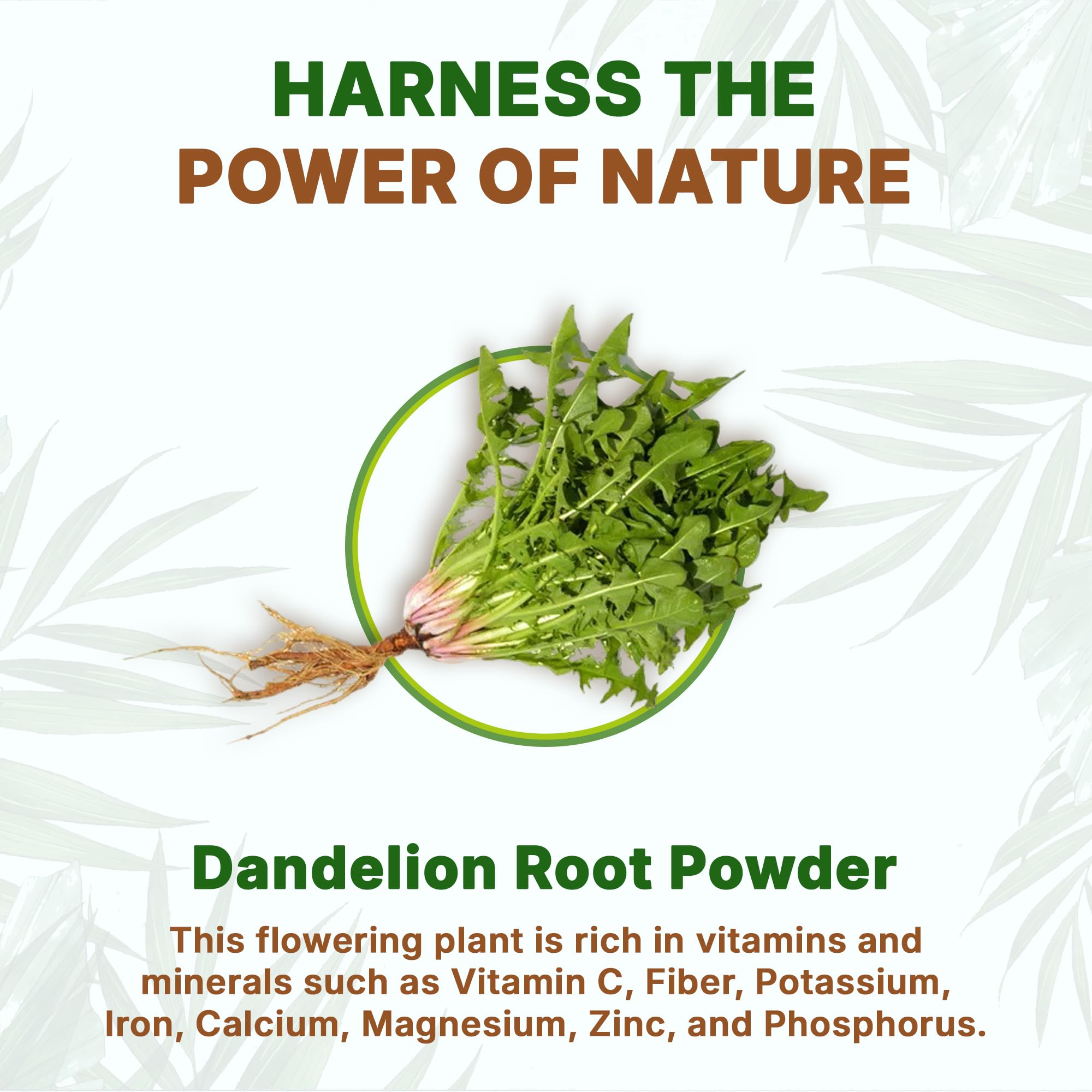 Go Nutra Dandelion Root Powder 227g in a bowl