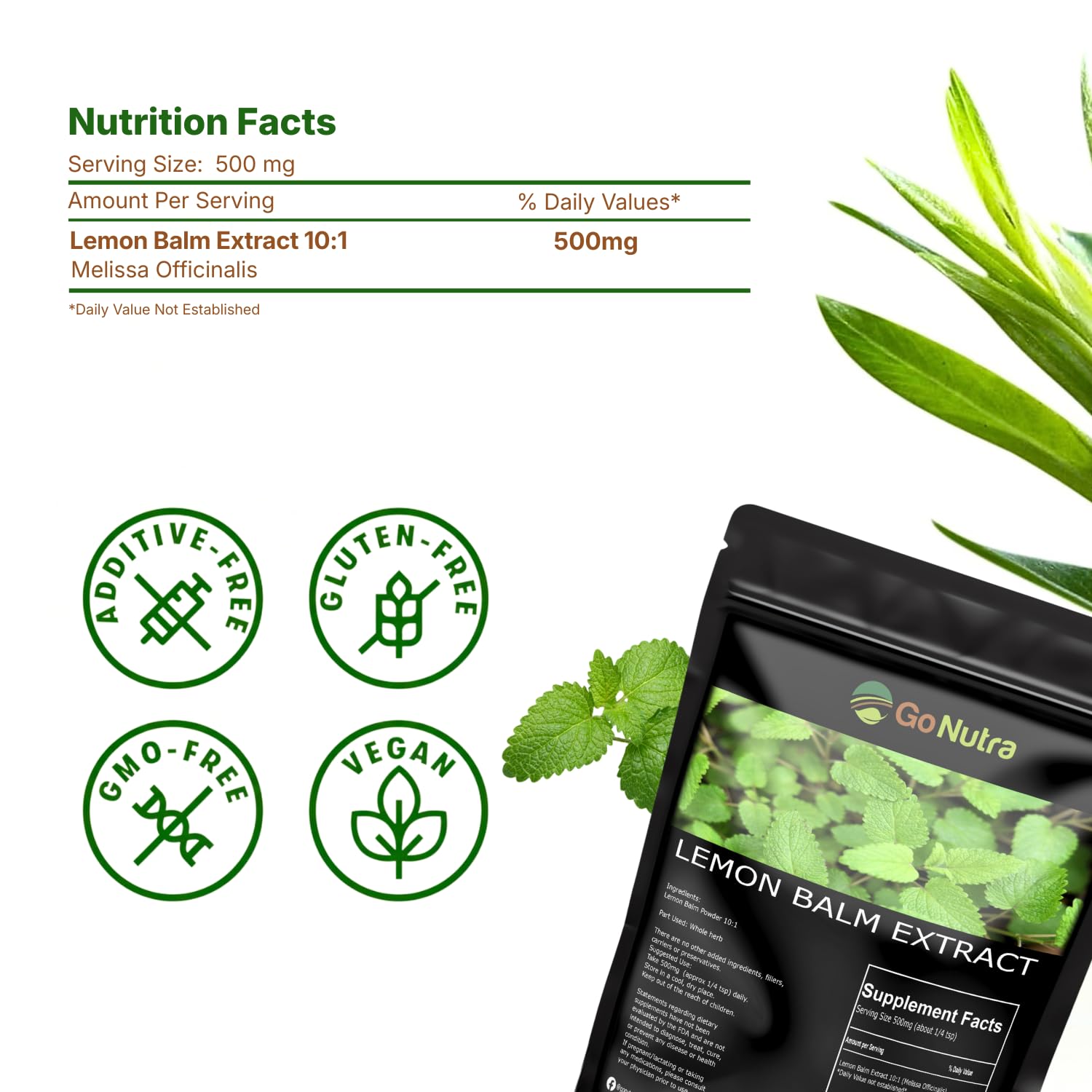 Go Nutra Lemon Balm powder close-up texture