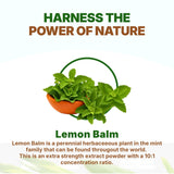 Go Nutra Lemon Balm powder in a measuring spoon