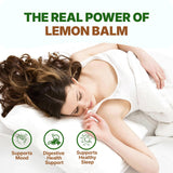 Go Nutra Lemon Balm powder packaging side view
