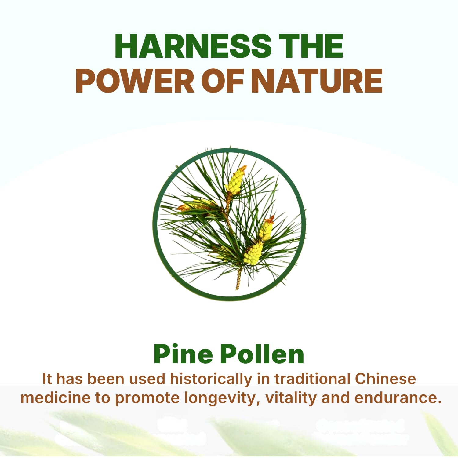 Go Nutra Pine Pollen Powder 170g in a bowl with a spoon