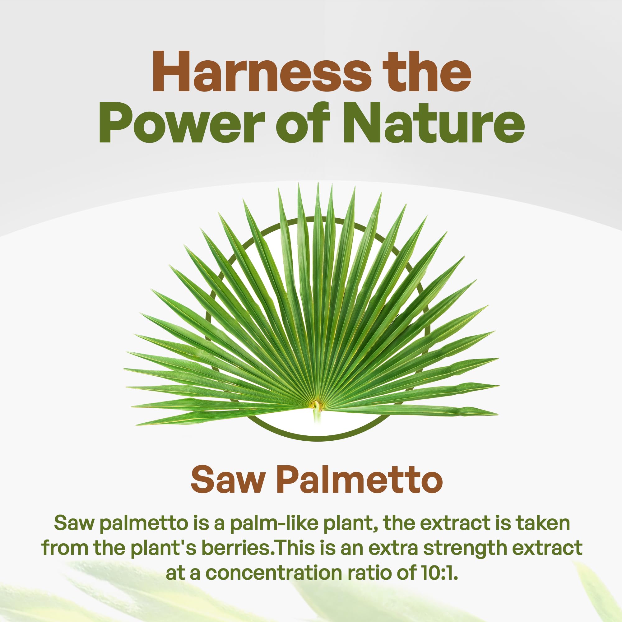 Go Nutra Saw Palmetto Extract Powder packaging