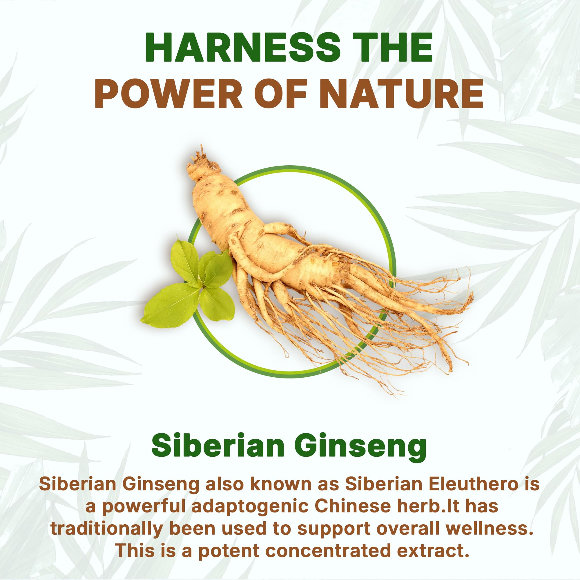 Go Nutra Siberian Ginseng Eleuthero Powder in a bowl