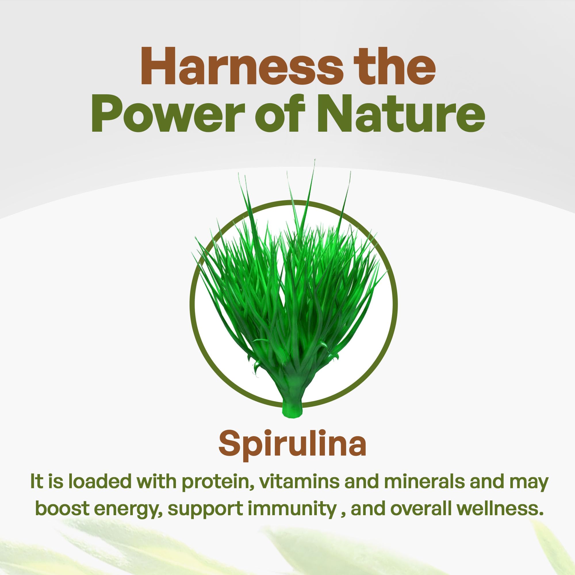 Go Nutra Spirulina Organic Tablets 380g side view