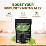Go Nutra Sweet Wormwood Powder 240g close-up of powder