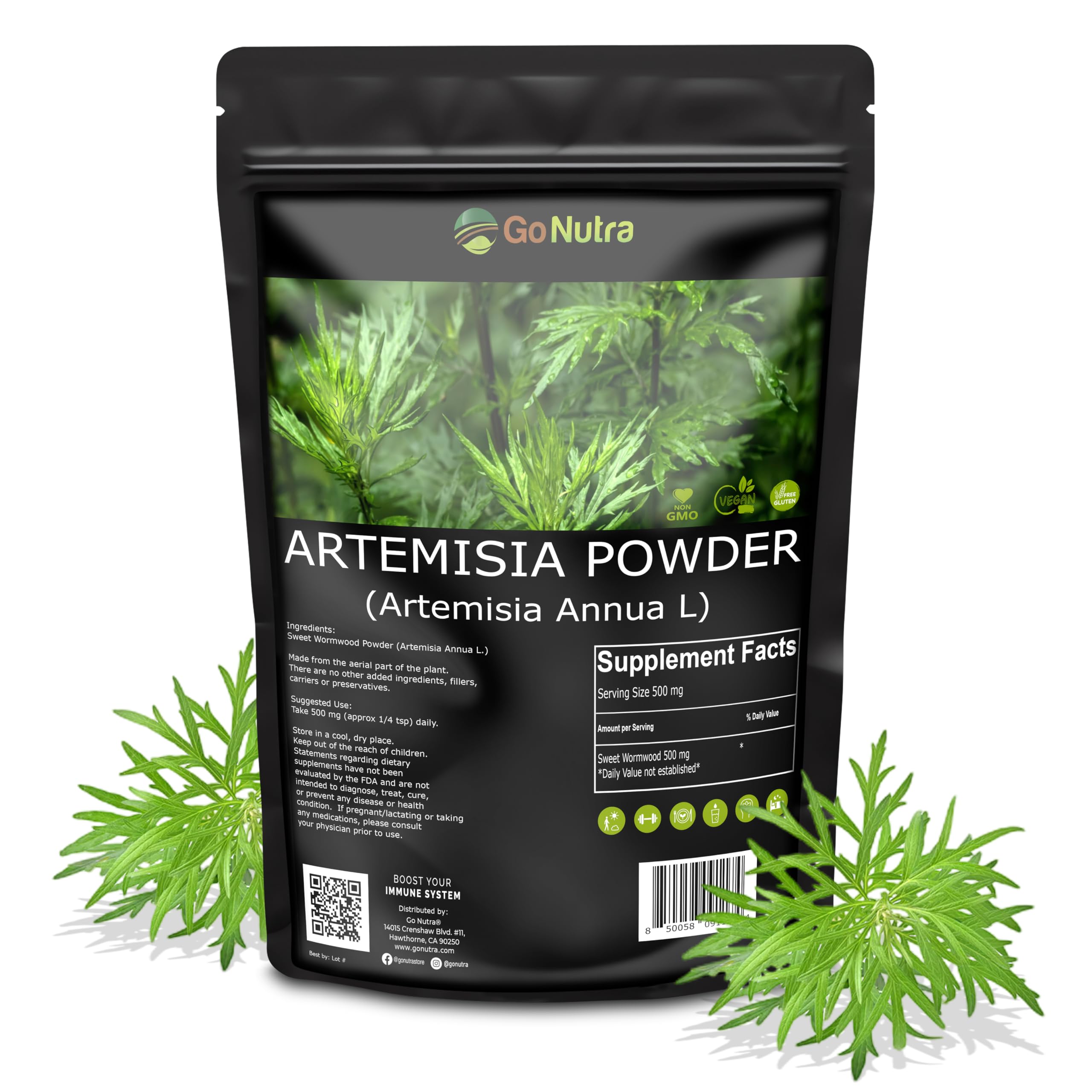 Go Nutra Sweet Wormwood Powder 240g in a smoothie