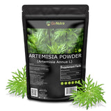 Go Nutra Sweet Wormwood Powder 240g in a smoothie