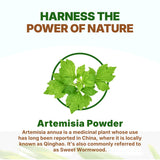 Go Nutra Sweet Wormwood Powder 240g with honey and tea