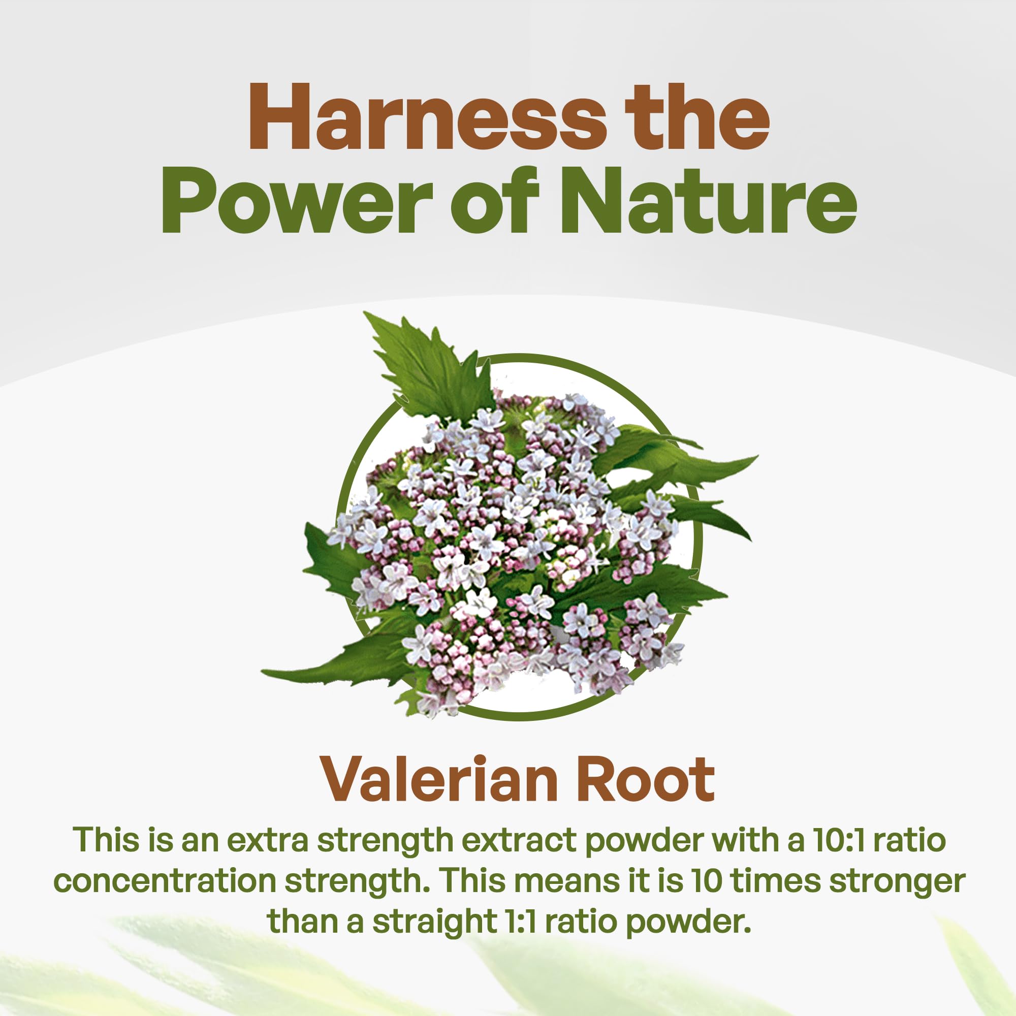 Go Nutra Valerian Powder 227g side view showing product label