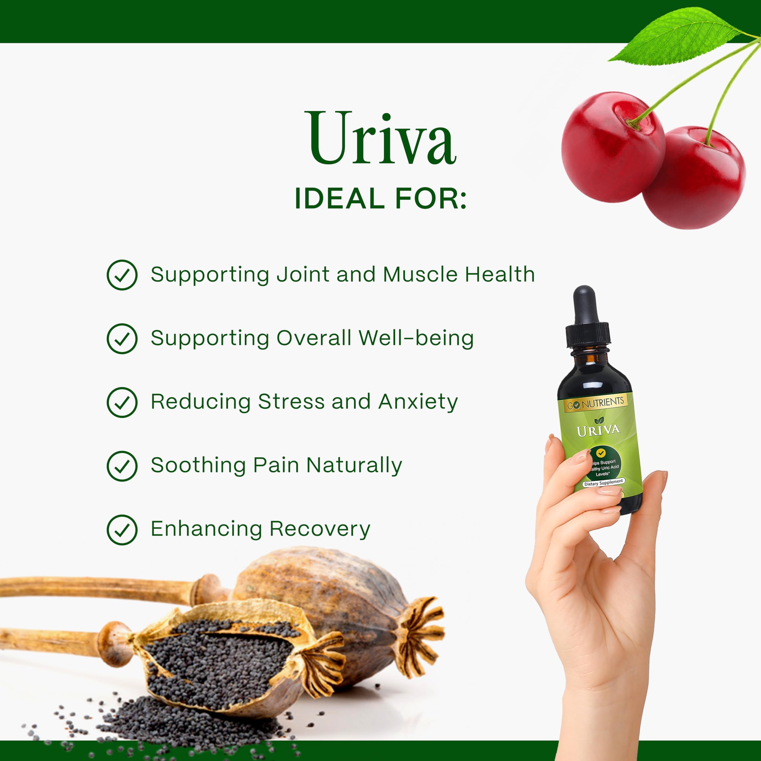 Go Nutrients Uriva Liquid Drops 1 oz with measuring dropper
