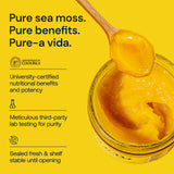 GO/TU Sea Moss Gel 363g in a bowl for serving