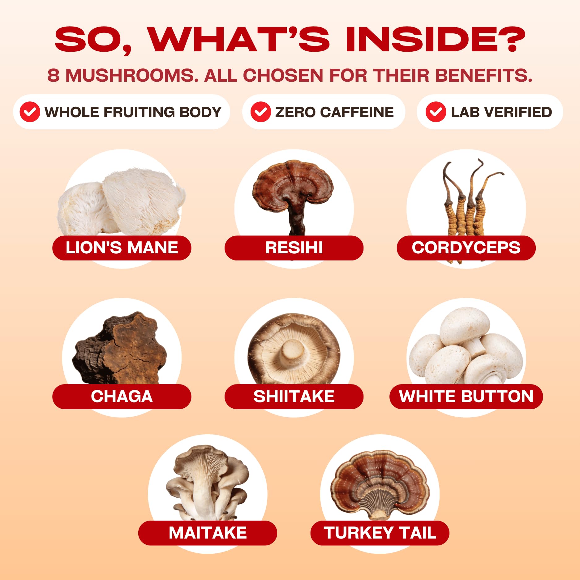 GOBIOTIX 8 Mushroom Complex Supplement lifestyle scene with a glass of water