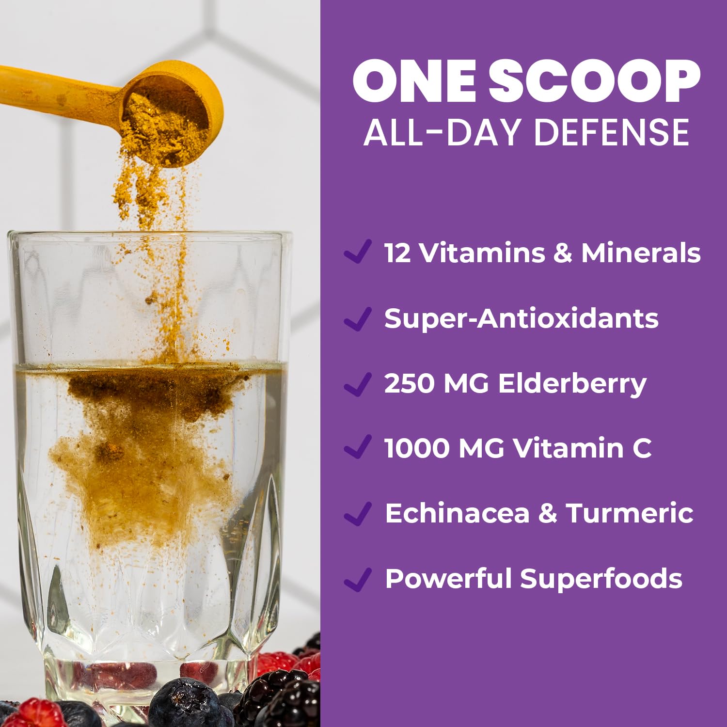 GOBIOTIX daily wellness Fizz Wellness support ingredients list