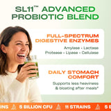 GOBIOTIX Spirulina Superfood Powder in a smoothie bowl