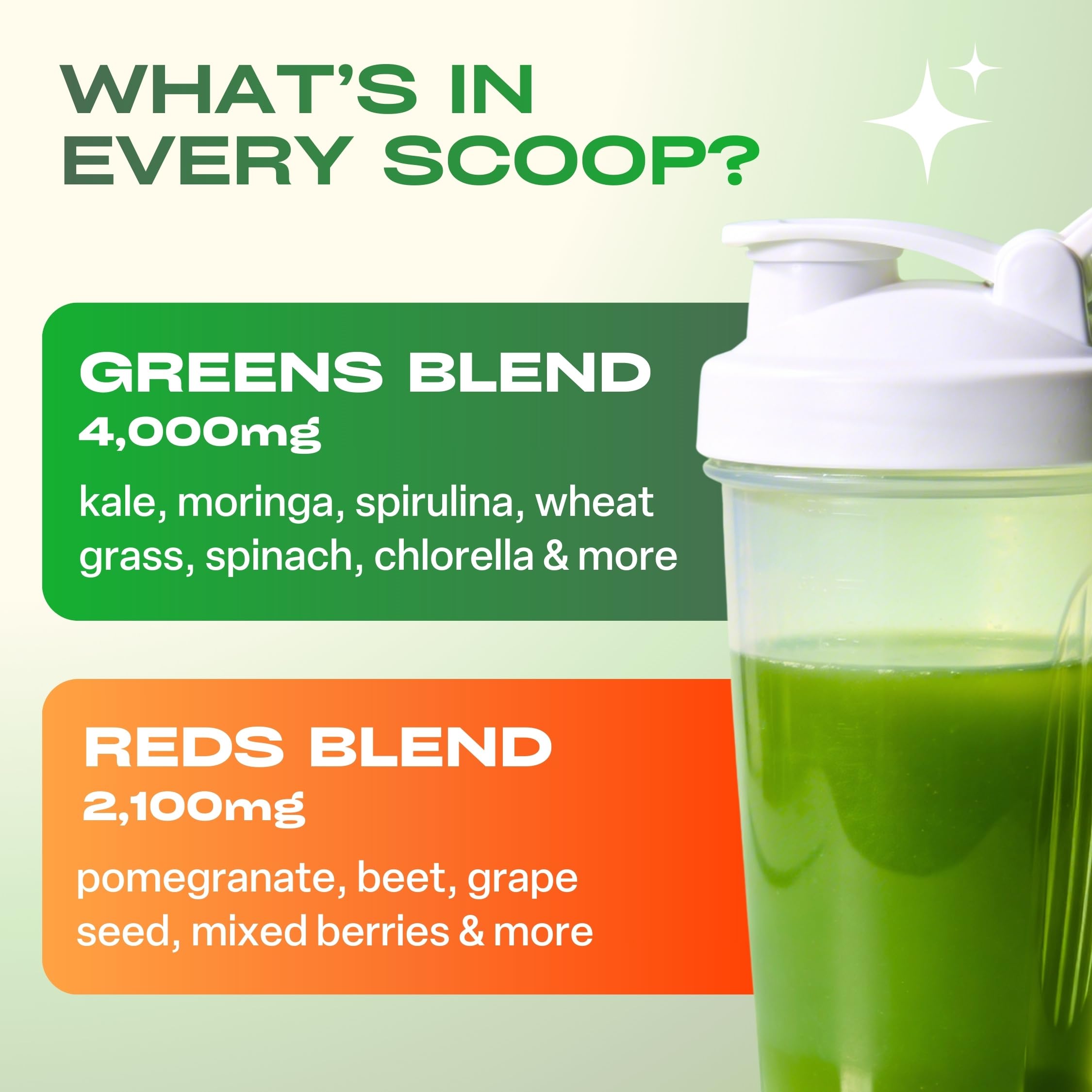 GOBIOTIX Spirulina Superfood Powder mixed in a glass of water