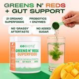GOBIOTIX Spirulina Superfood Powder packaging with natural flavours